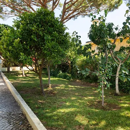 Apartment Casa Viana *